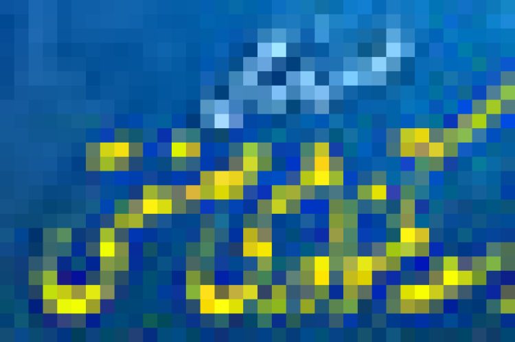 هدر فصلنامه